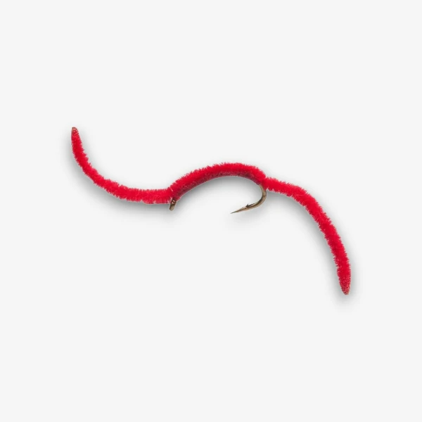 San Juan Worm