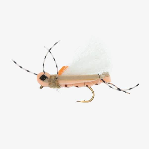 Thunder Thighs Hopper
