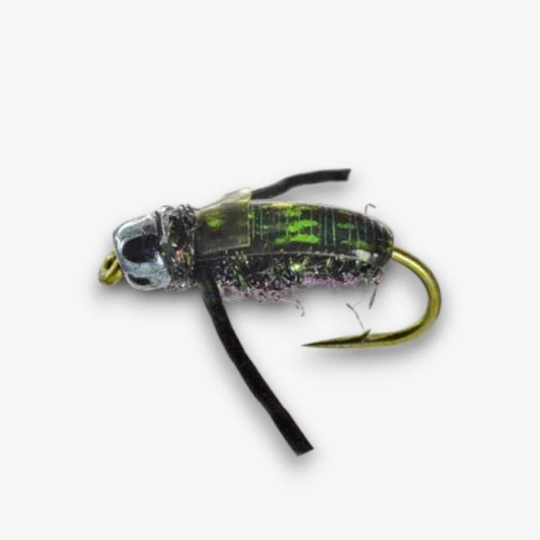 Tim's Water Boatman
