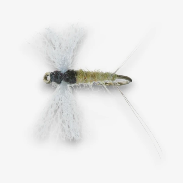 Trico Female Spinner