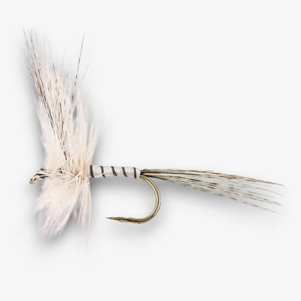 White Ribbed Mayfly
