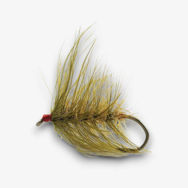 Wooly Worm