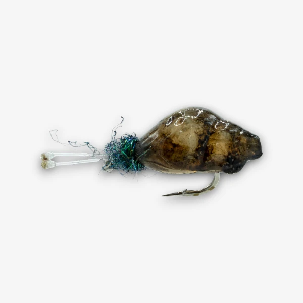 Znail Snail