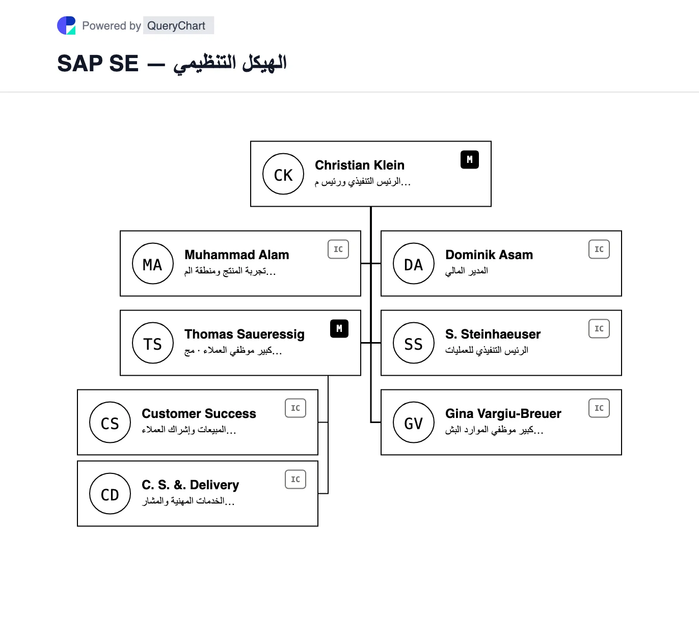 SAP SE — الهيكل التنظيمي والمخطط. خريطة قابلة للتحرير لمجالات المجلس التنفيذي الحالية لشركة SAP، بما في ذلك مجموعة قيمة العملاء لعام 2026، مع شرح فئات إيرادات البرامج الخاصة بها بشكل منفصل.