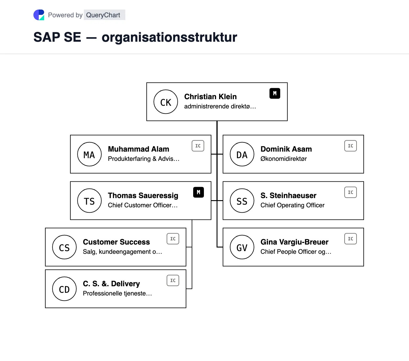 SAP SE — organisationsstruktur og organisationsdiagram. Et redigerbart kort over SAPs nuværende Executive Board-områder, inklusive 2026 Customer Value Group, med dens softwareindtægtskategorier forklaret separat.