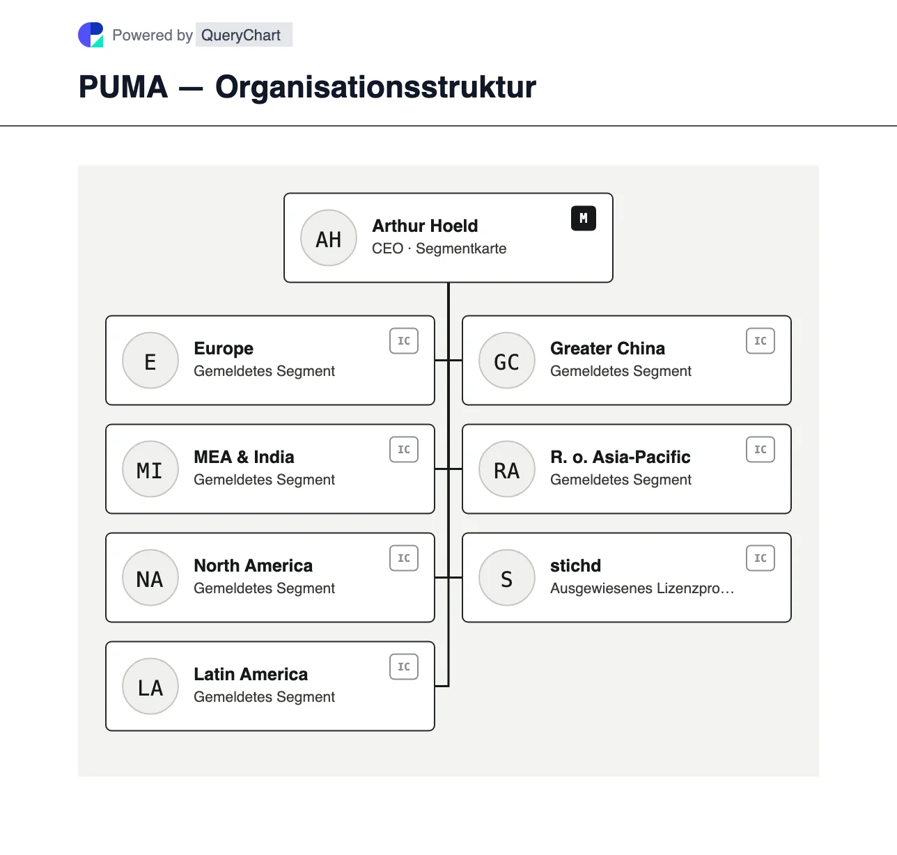 PUMA — Organisationsstruktur und Organigramm. Entdecken Sie die sieben Geschäftssegmente von PUMA bis 2025, darunter Europa, MEA und Indien, Amerika, asiatische Märkte und Stichd.
