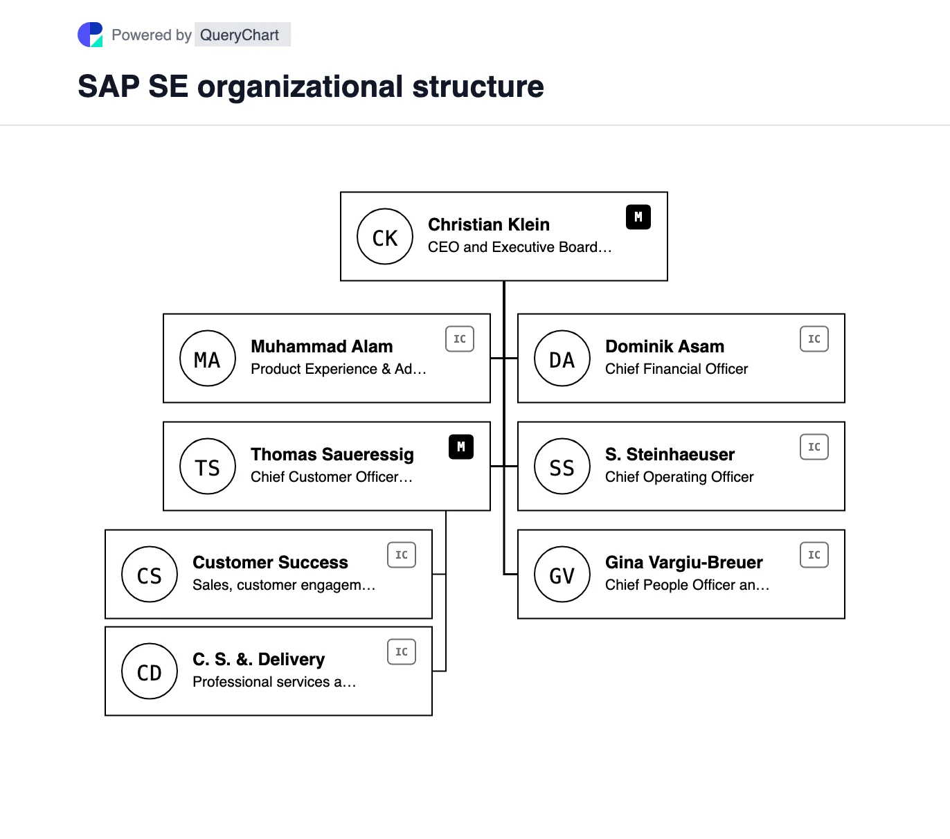SAP Organizational Structure & Executive Board Chart. An editable map of SAP's current Executive Board areas, including the 2026 Customer Value Group, with its software revenue categories explained separately.
