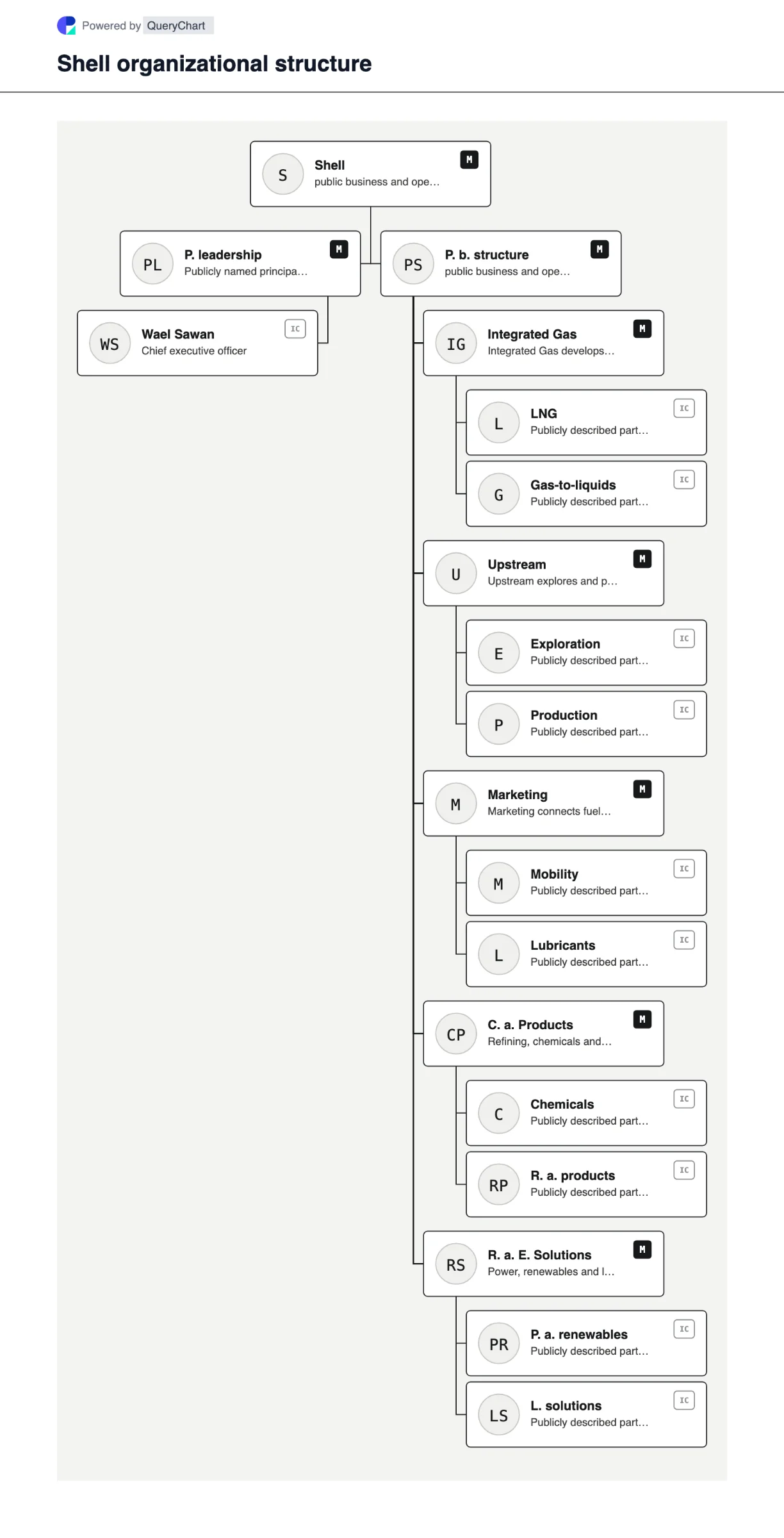 Shell Organizational Structure & Org Chart. Explore Shell's public business structure, leadership and major operating areas in a sourced, dated, editable organizational chart.