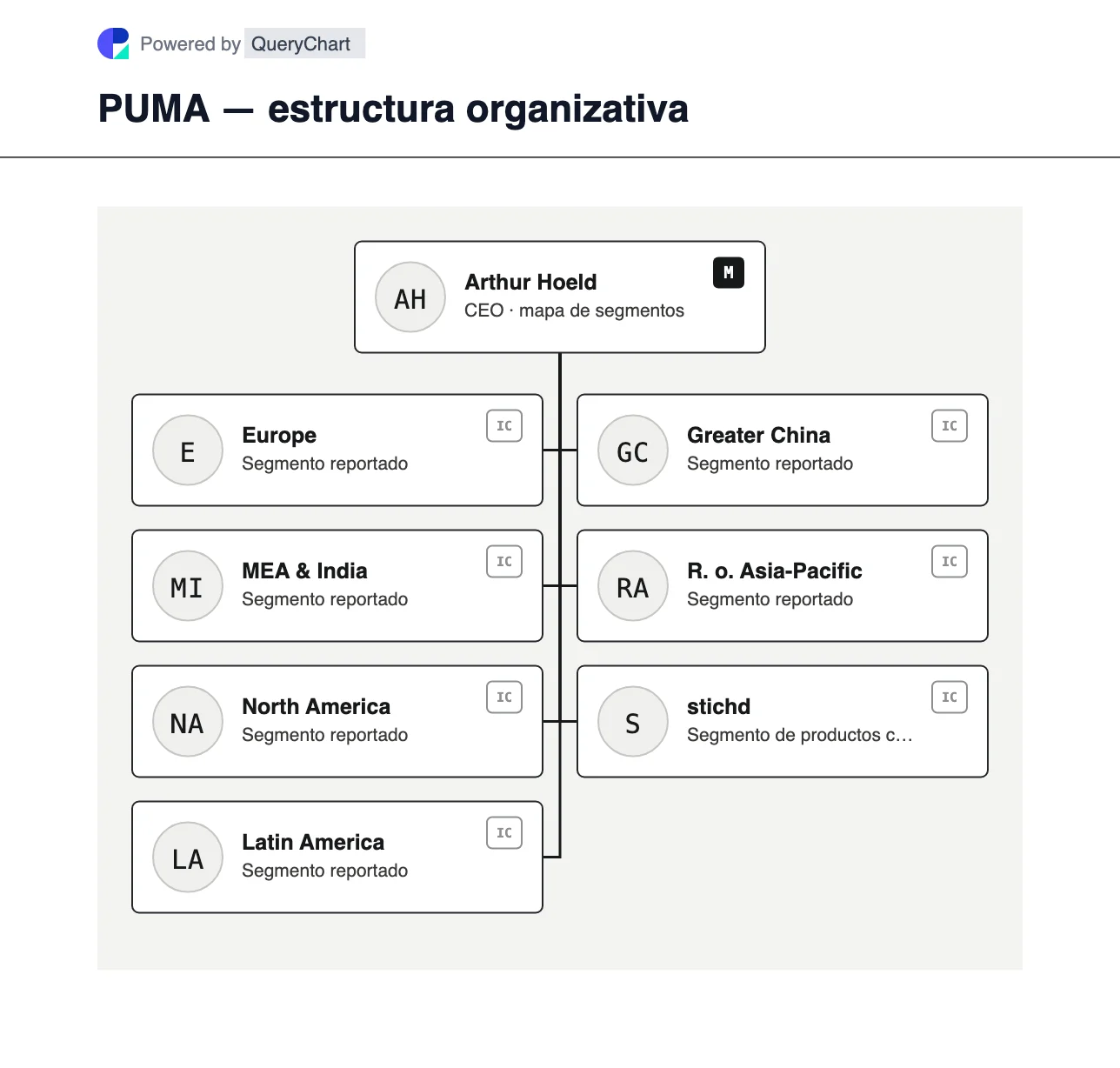 PUMA — estructura organizativa y organigrama. Explore los siete segmentos comerciales de PUMA para 2025, incluidos Europa, MEA e India, América, los mercados asiáticos y Stichd.