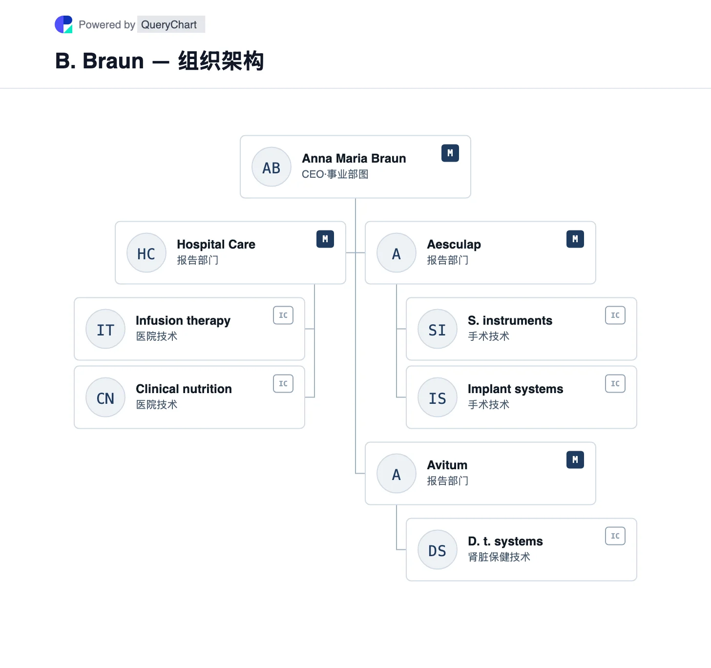 B. Braun — 组织架构与组织结构图. 了解贝朗的医院护理、Aesculap 和 Avitum 部门及其在护理服务中的不同角色。 图中标明业务单元之间的关系,并附公司来源与核查日期。
