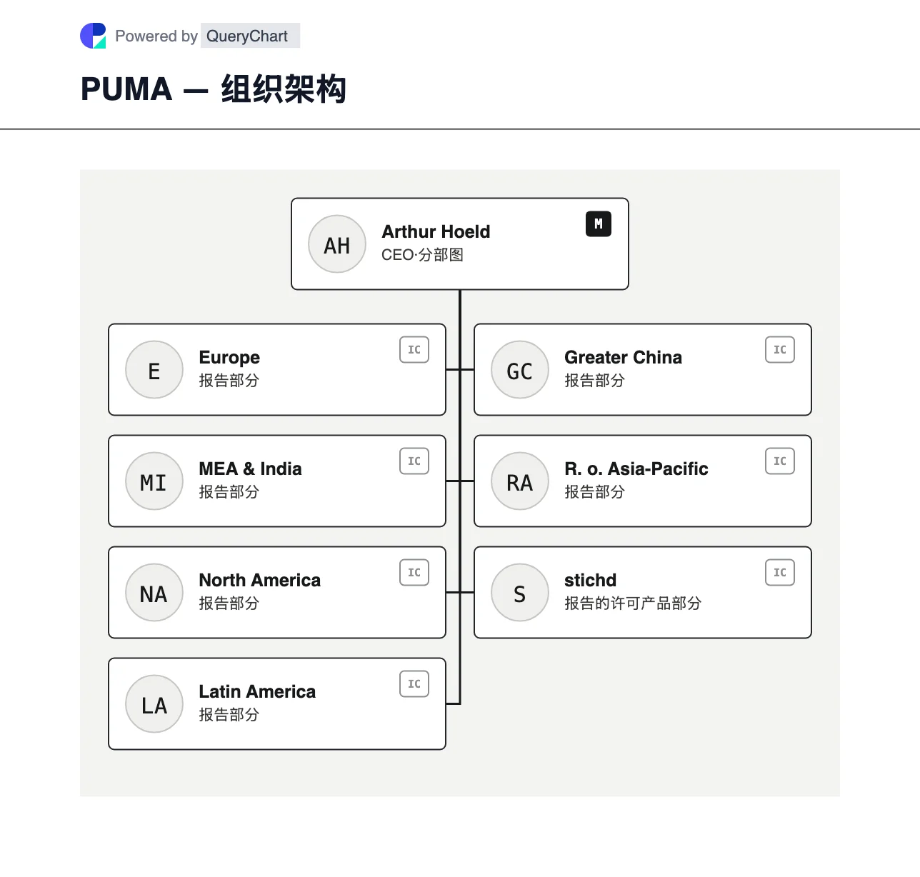 PUMA — 组织架构与组织结构图. 探索 PUMA 2025 年的七个业务领域,包括欧洲、MEA 和印度、美洲、亚洲市场和 stichd。 图中标明业务单元之间的关系,并附公司来源与核查日期。