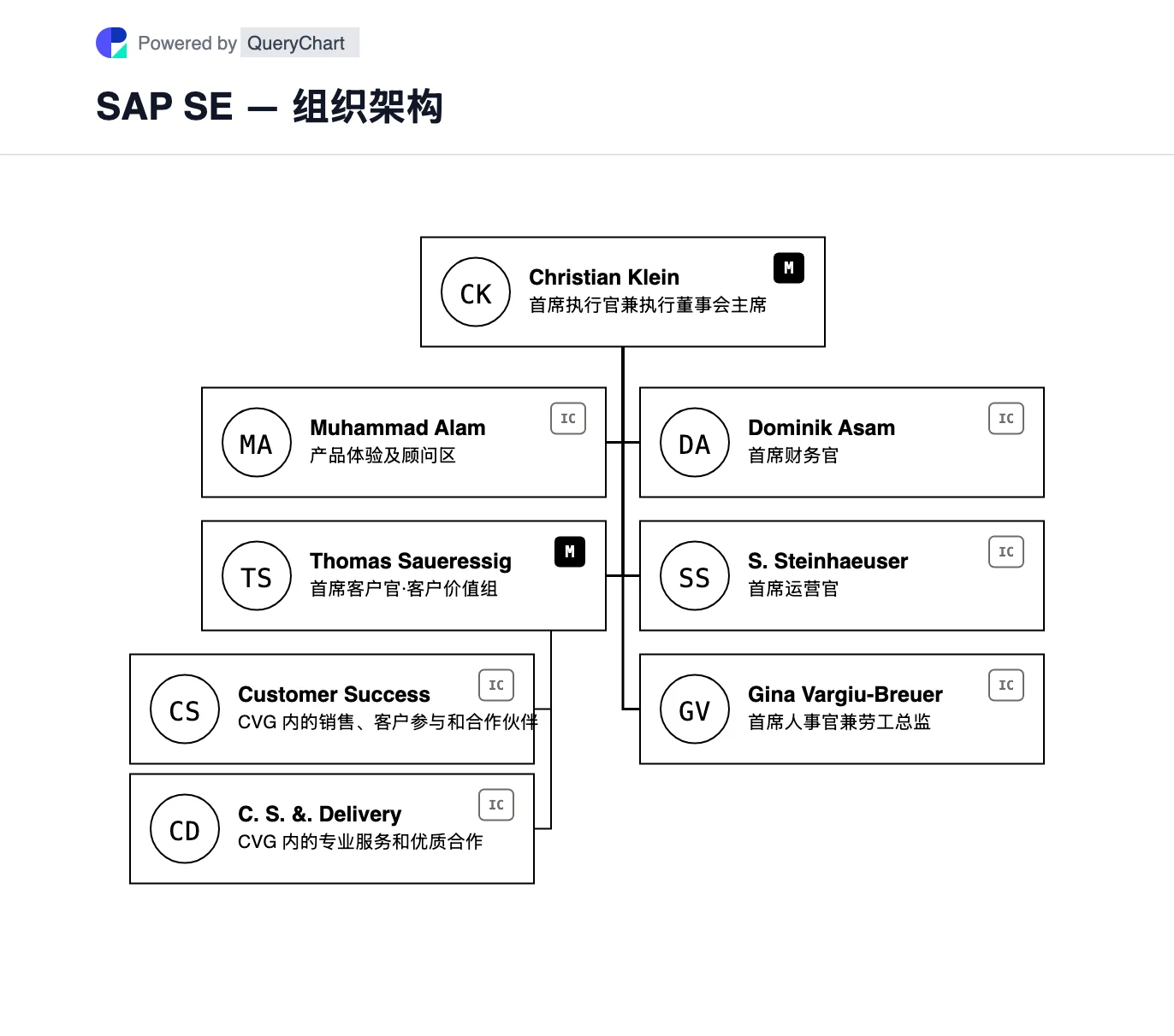 SAP SE — 组织架构与组织结构图. SAP 当前执行委员会领域的可编辑地图,包括 2026 年客户价值组,并单独解释了其软件收入类别。