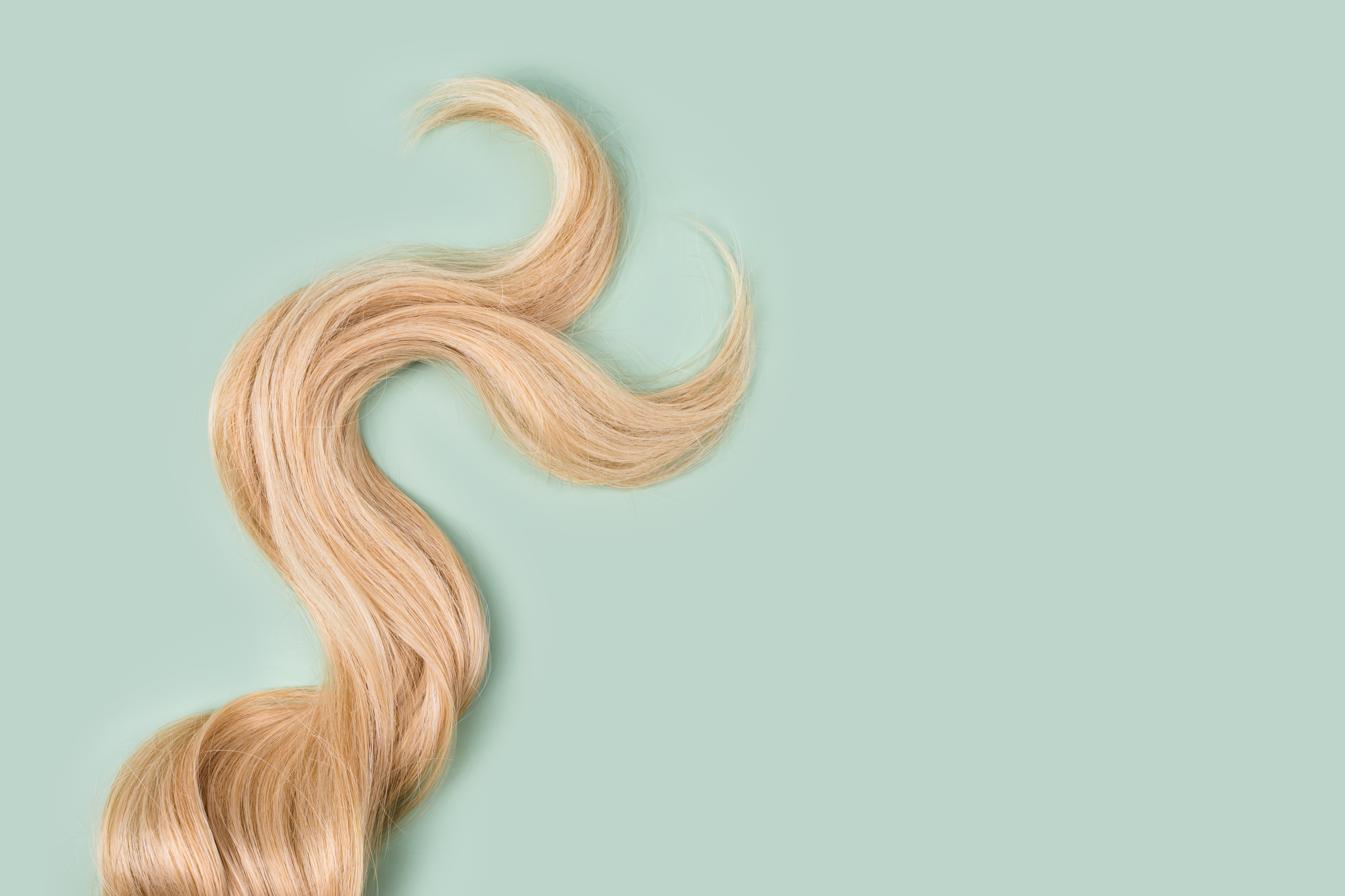 Hair Designs by Kelly Dinger