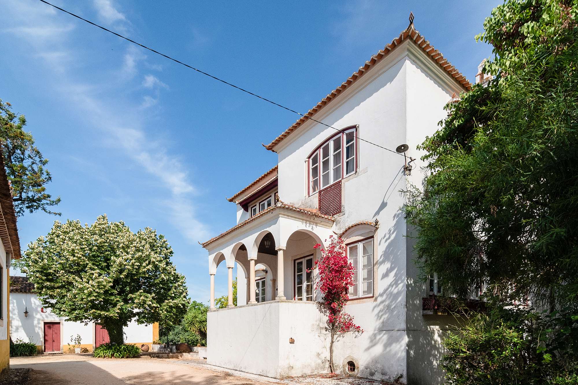 Quinta Com Muro Em Pedra Natural, Terrenos e Quintas, à venda, Leiria