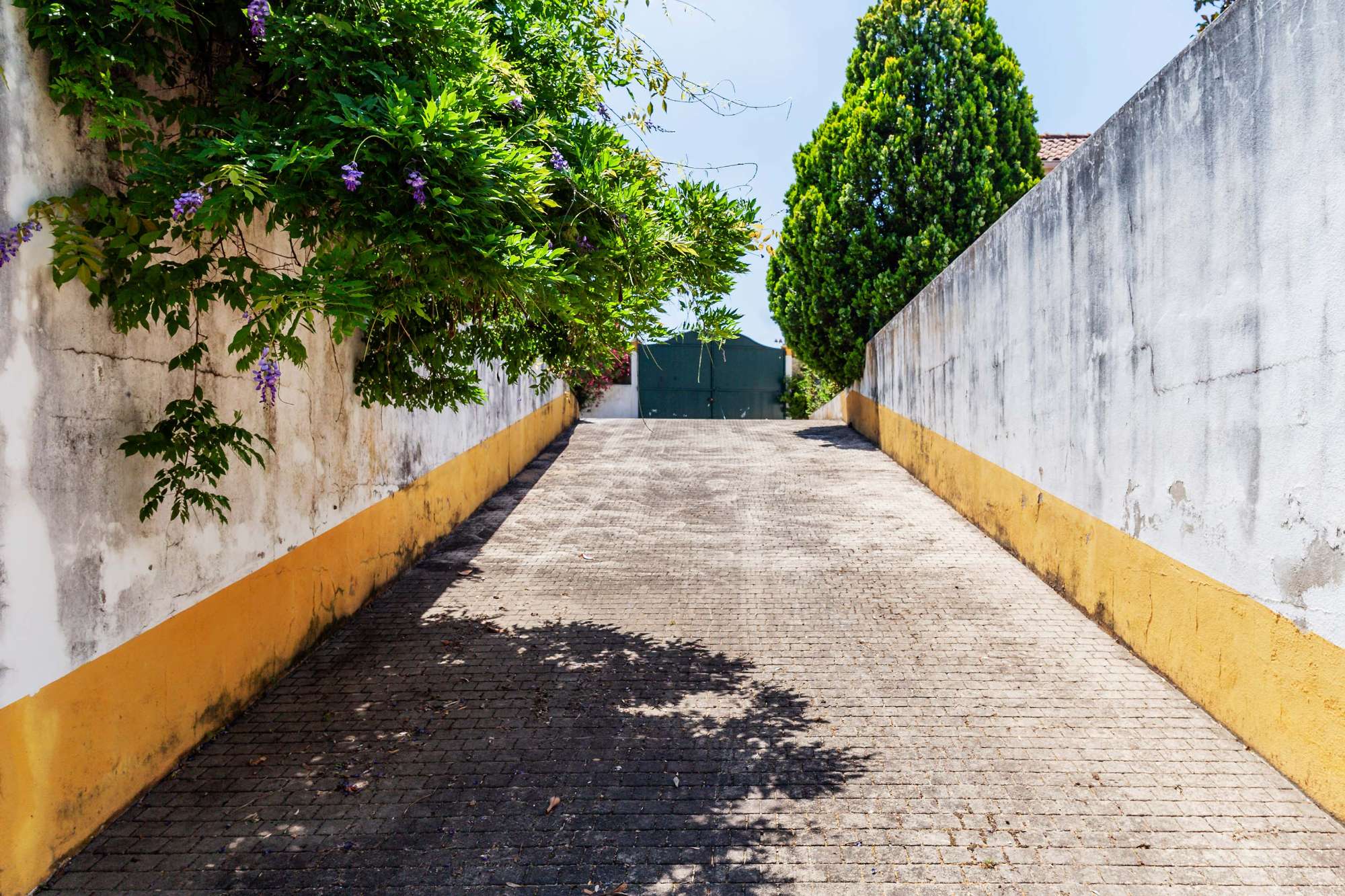 images-prod-prop-019314-quinta_chamusca_santarem_10_06_10_1687536046967-jpg