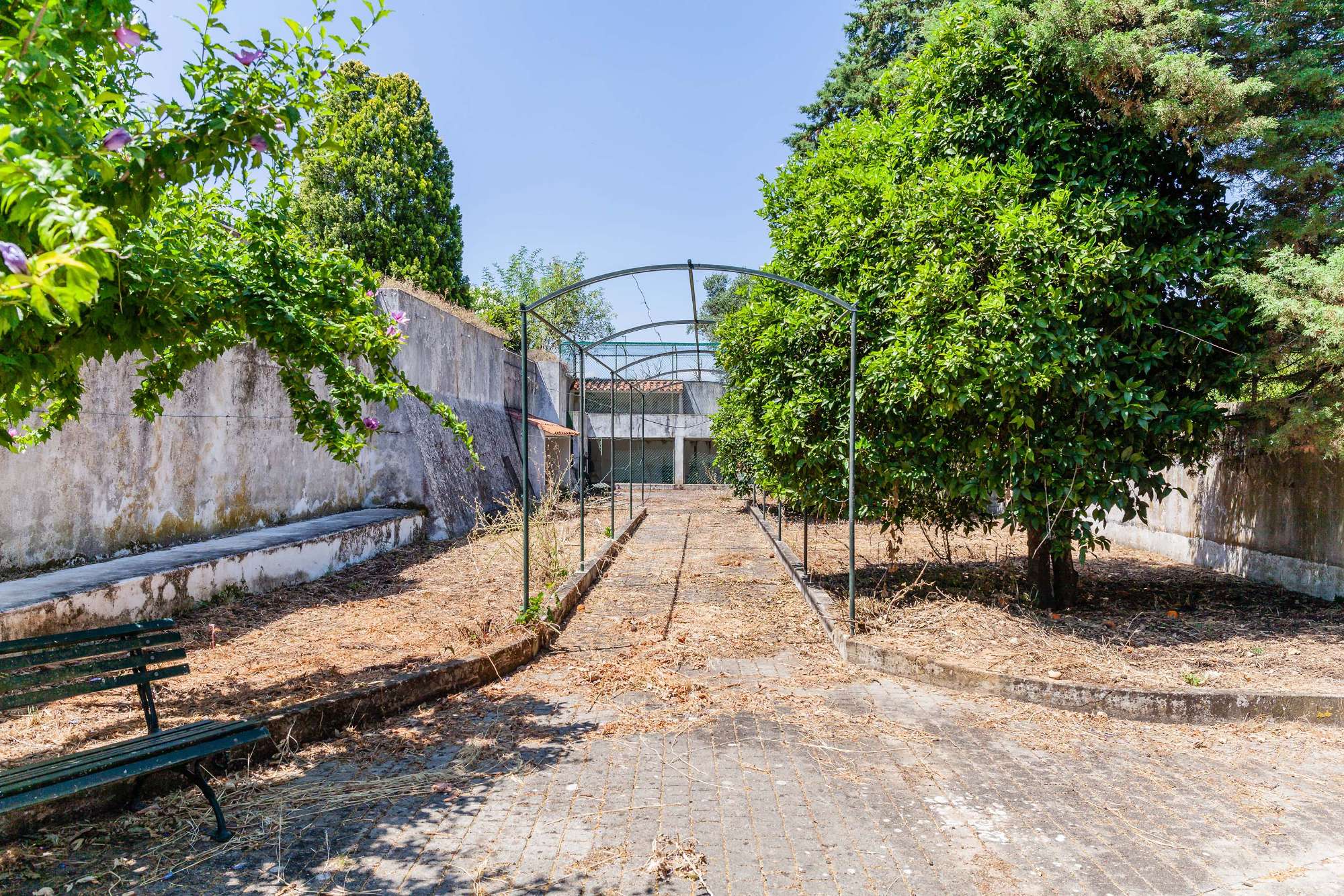 images-prod-prop-019314-quinta_chamusca_santarem_10_06_8_1687536008235-jpg