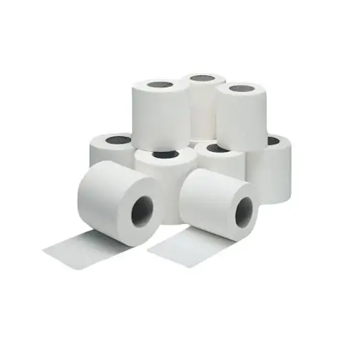 Toilet Roll 200 Sheet (10 Pack)