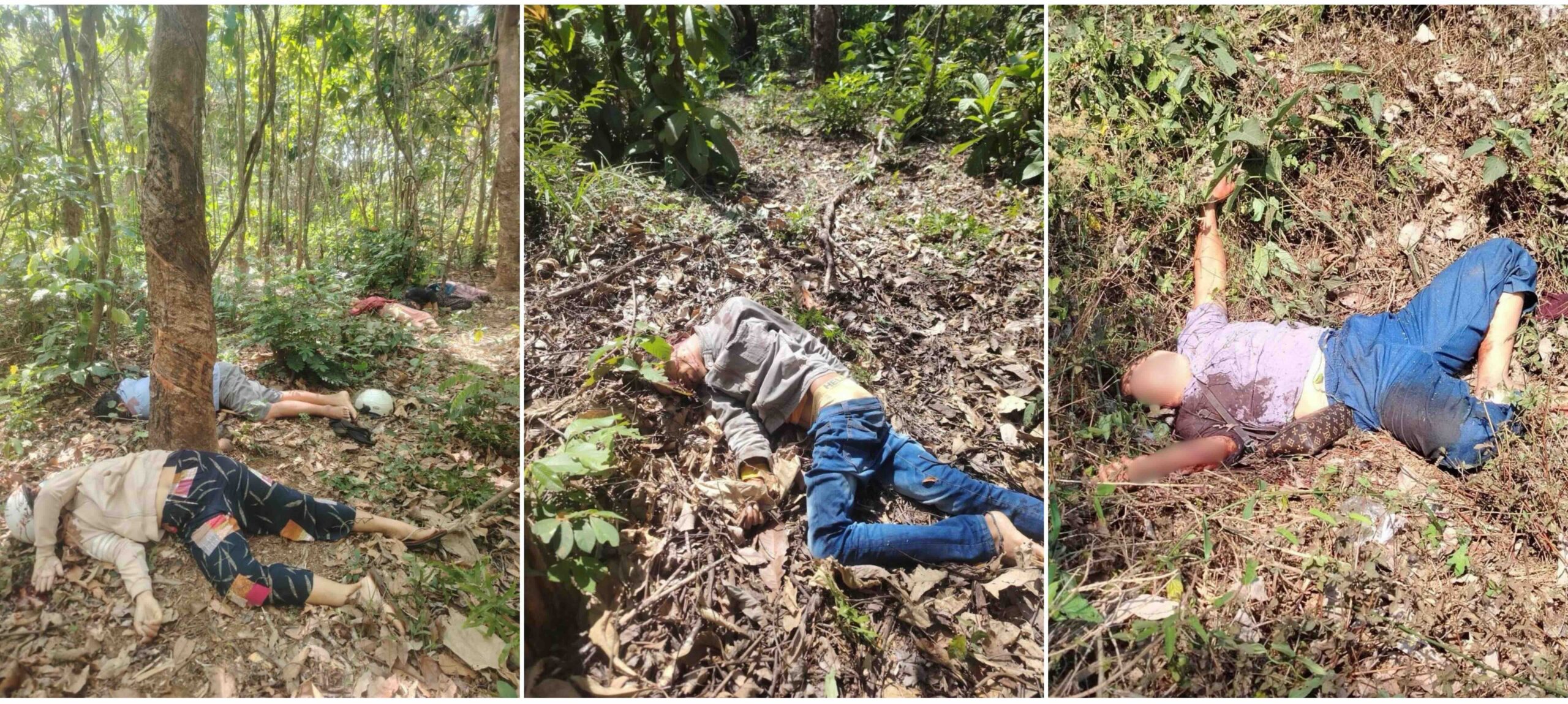 -စုံစင်ဖျားကျေးရွာအနီး ရာဘာတောထဲတွင် သတ်ဖြတ်ခံထားရသော ဒေသခံရုပ်အလောင်း ခုနစ်လောင်းကို ဖေဖော်ဝါရီလ ၂၈ ရက်နေ့က တွေ့ရစဉ် ။ (ဓာတ်ပုံ- ပေးပို့)