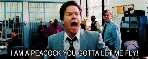 I'm a peacock from the other guys