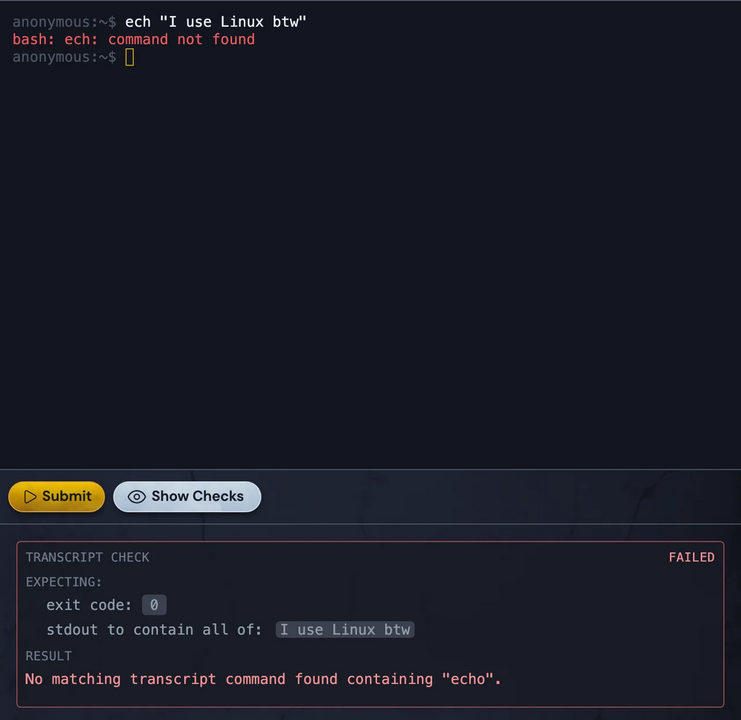 Boot.dev's in-browser shell showing a mistyped command and a failed check