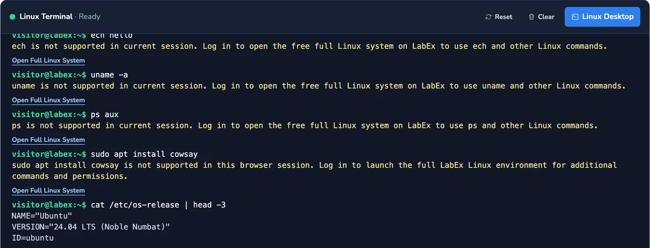 LabEx's online Linux terminal refusing uname, ps, and sudo until you log in