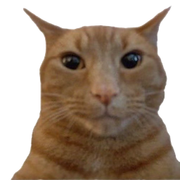 Rafal Krawczak profile image