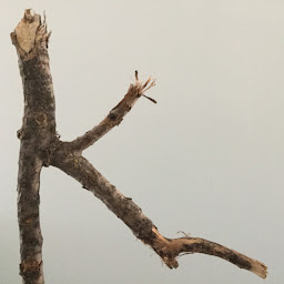 Kittredge Kymla profile image