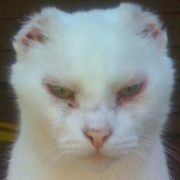 Jeremy Cribb profile image