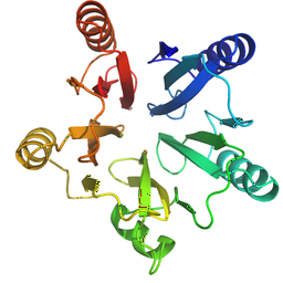 Todd Naumann profile image