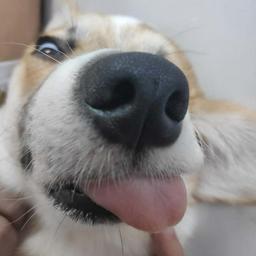 Kenzie Rivan profile image