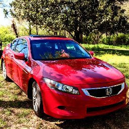 peyton Morrow profile image