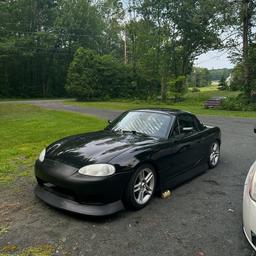 Timur Fergione profile image