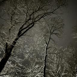 Thomas Reed profile image