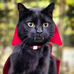 James Stark profile image