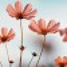 Sanket Nandkishor Charbhe profile image