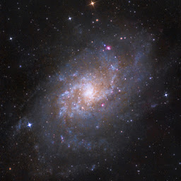 Apollo  profile image