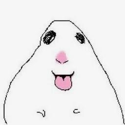 Matheo Stam profile image