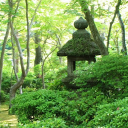 Jessica Tremblay profile image