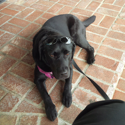 Devon  profile image