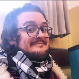 Gabriel G R Silva profile image