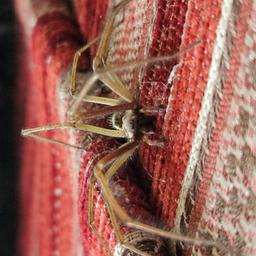 Stephan Heil profile image