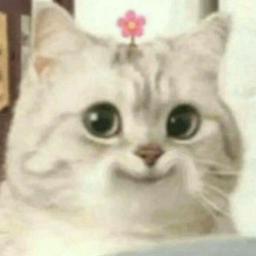 Noké  profile image