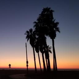 Tyler  profile image