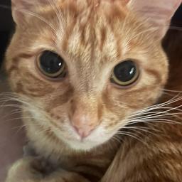 Zac  profile image