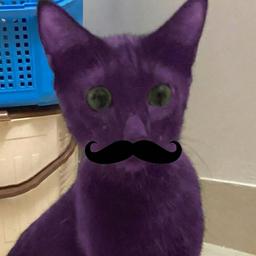 Toha 764 profile image