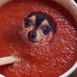 Anthony P profile image