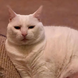 Tyler Hathaway profile image