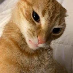 Luis M profile image