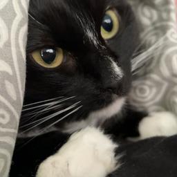 Oliver K. profile image