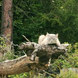 Annie 1 profile image